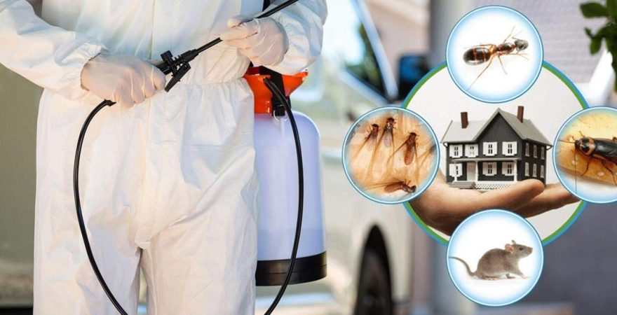 Edremit Böcek İlaçlama