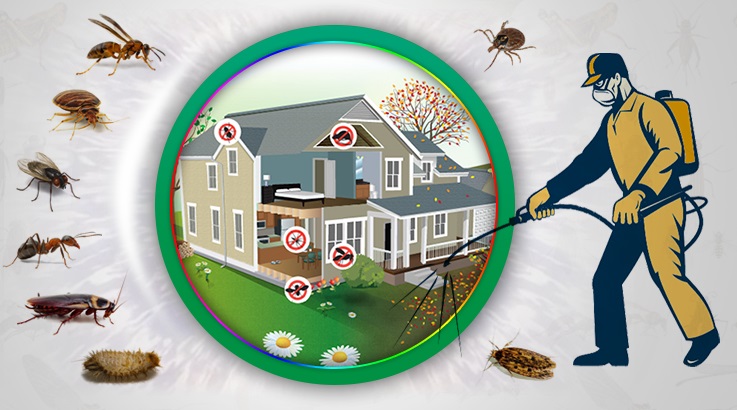 Edremit Böcek İlaçlama