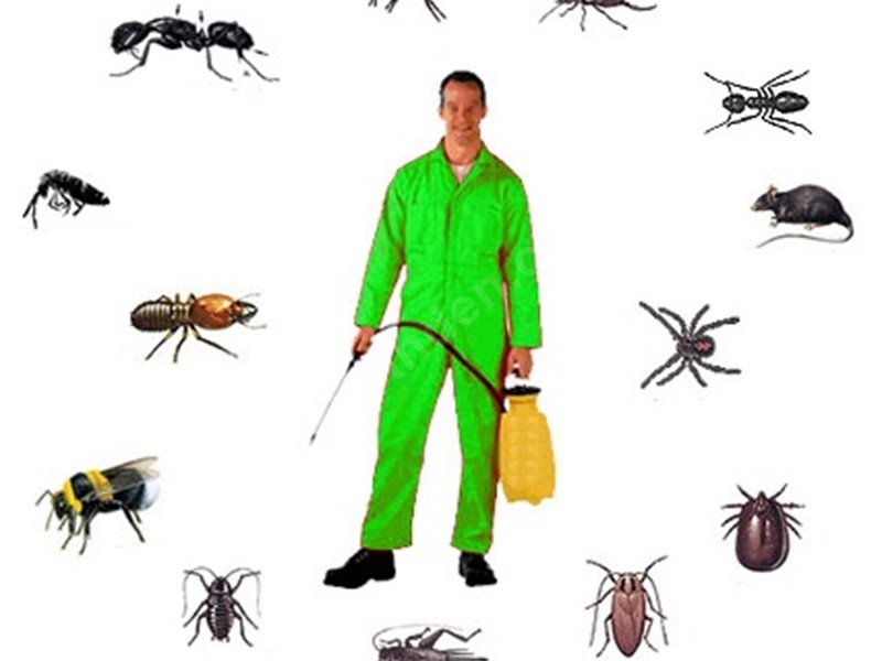 Edremit Böcek İlaçlama